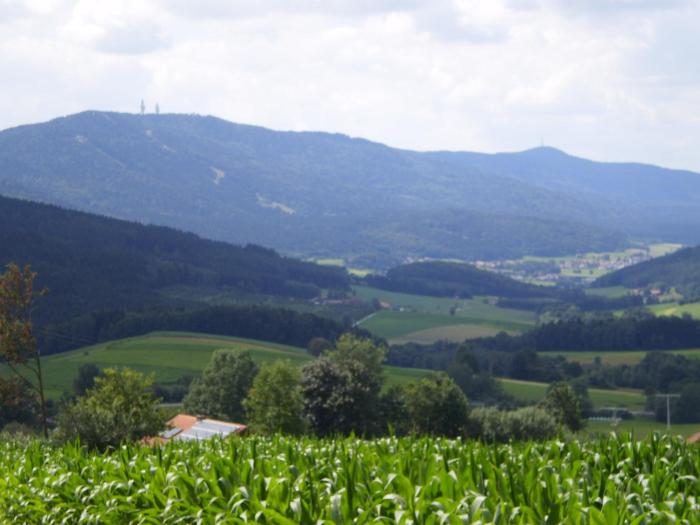 neukirchen beim heiligen blut