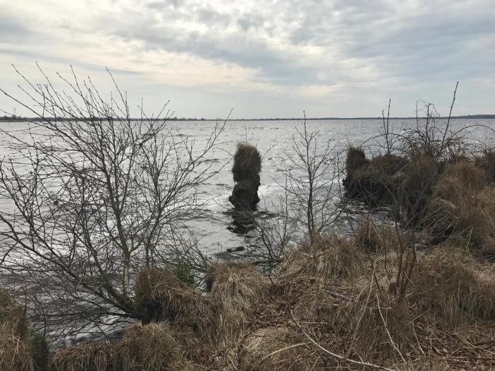 landgasthaus leezdorfer hof