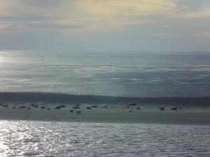 landgasthaus leezdorfer hof