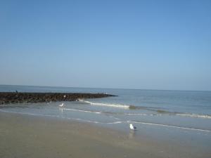 landgasthaus leezdorfer hof