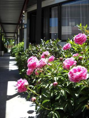 gothic heights motel