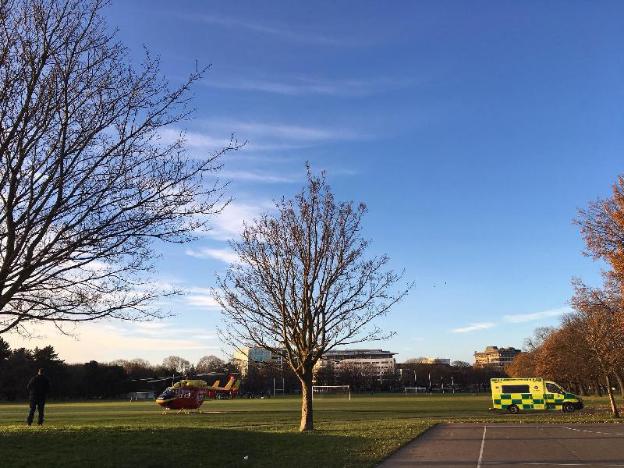 gothic heights motel