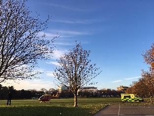 gothic heights motel