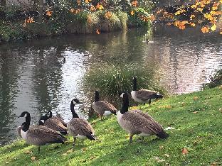 gothic heights motel