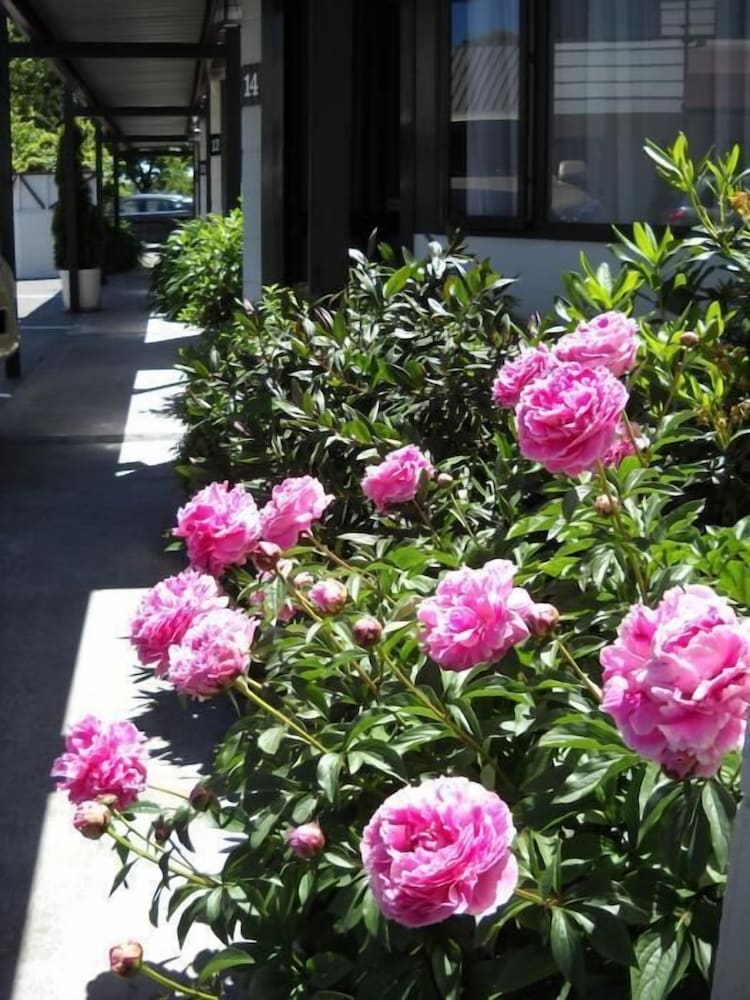 gothic heights motel