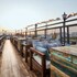 hotel royal empire