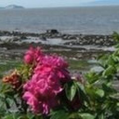 auberge sur mer