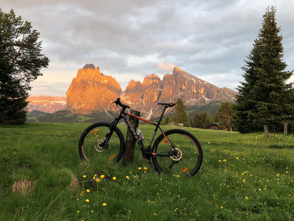 saltria your alpine experience