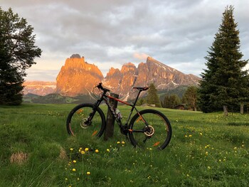 saltria your alpine experience