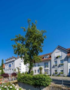 Stadthotel Pfeffermuhle,Gengenbach>>Berghaupten,3 star