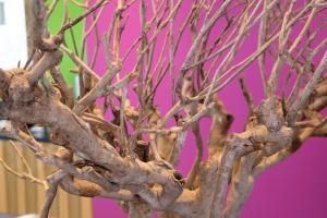 amh airport messe hotel