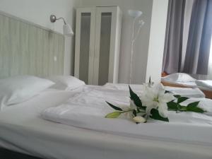 Hotel Komet,Düsseldorf>>Dusseldorf,2 star
