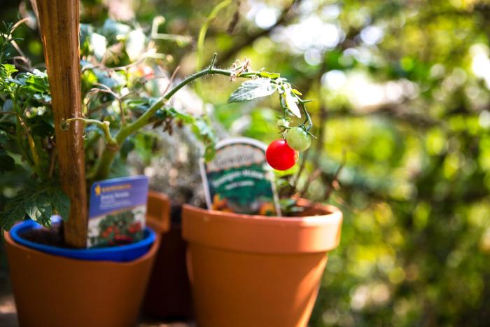 pfefferbett hostel berlin