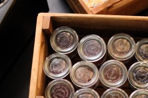 pfefferbett hostel berlin