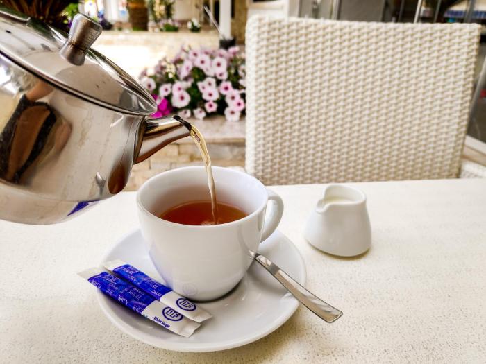 senator hotel apartments adults only