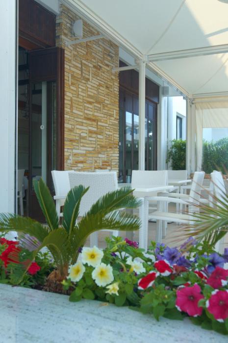 senator hotel apartments adults only