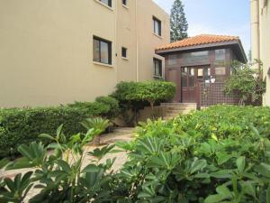 senator hotel apartments adults only