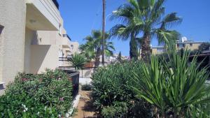 senator hotel apartments adults only