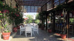 senator hotel apartments adults only