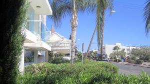 senator hotel apartments adults only