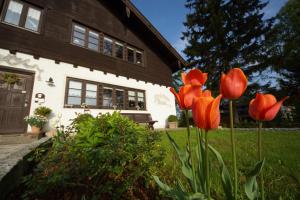 Gastehaus Funk,In Bad Feilnbach (Rosenheim District),3 star