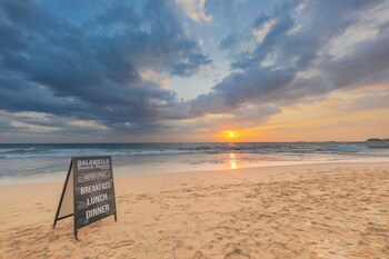dalawella beach resort