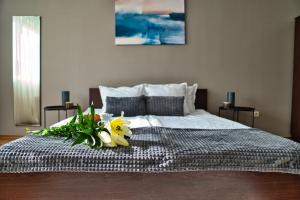 local stay hotel bw signature collection