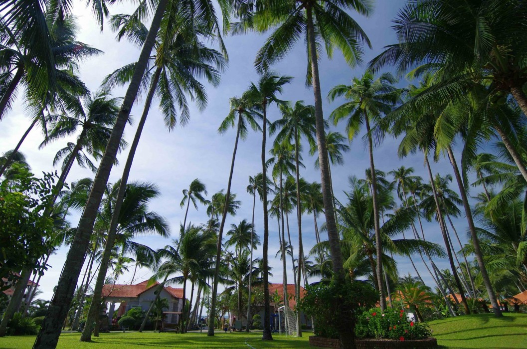 muine century beach resort and spa