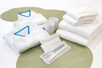 ginza capital hotel akane