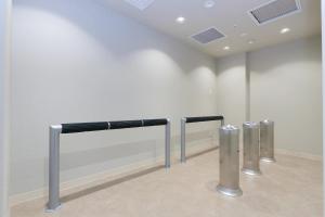 ginza capital hotel akane