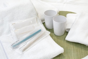 ginza capital hotel akane