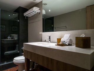 dominion polanco