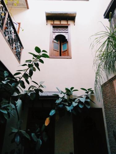 riad el wiam