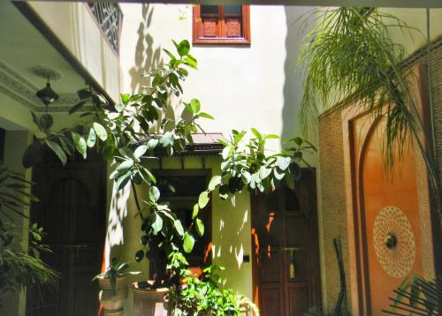 riad el wiam