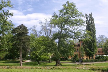 Villa Scati,Alessandria>>Acqui Terme,3 star