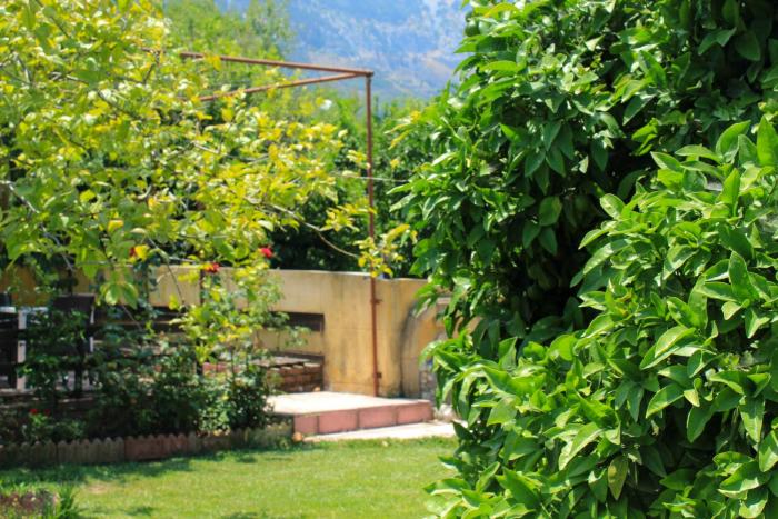 lapithos