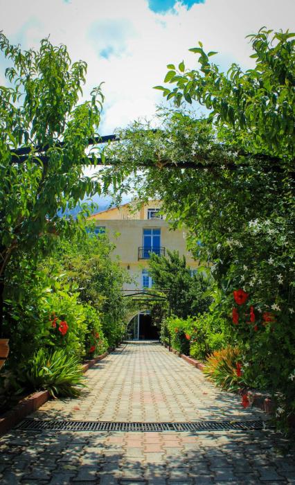 lapithos