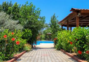 lapithos