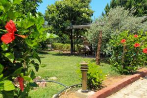 lapithos