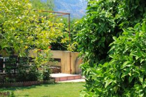 lapithos