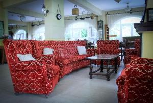lapithos