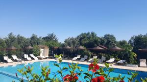 lapida garden hotel
