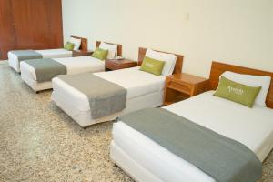 ayenda 1313 barahona 72