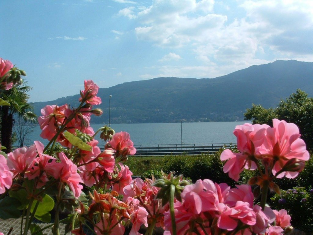 residence tre ponti