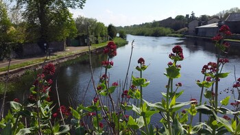 leighlinbridge