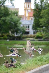 Achat Hotel Suhl,Marksuhl>>Erfurt,4 star