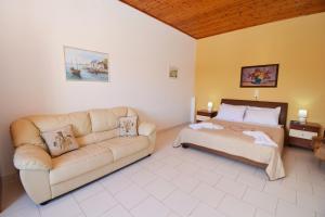 dolphin apt and studios near the beach