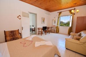 dolphin apt and studios near the beach