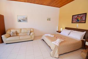 dolphin apt and studios near the beach