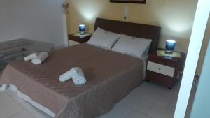 dolphin apt and studios near the beach